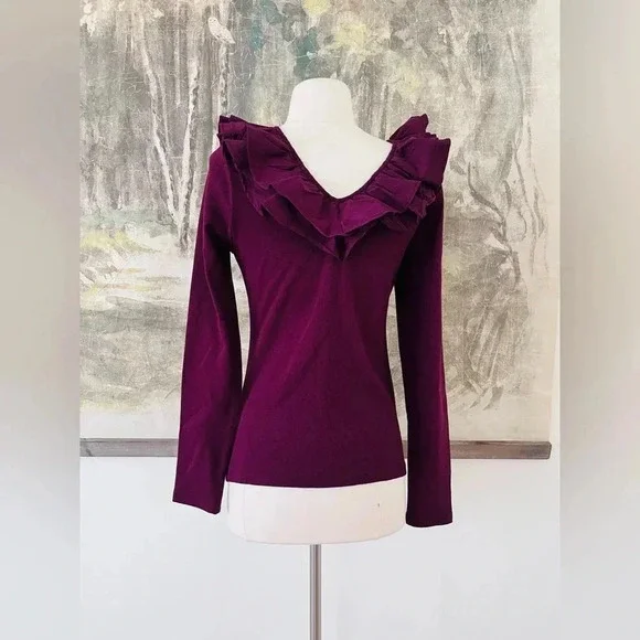Anthropologie DOLAN Ruffled V-Neck Top in Wine Size Medium NWOT $78 - Picture 4 of 11